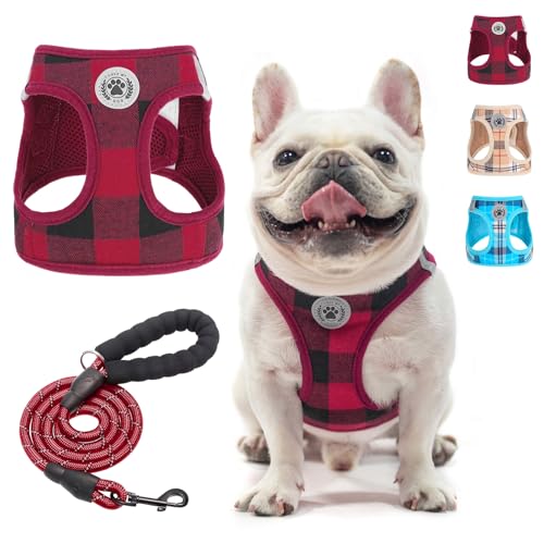 BEAUTYZOO pn[lX [hZbg ^ ^ Ή h~ ߉\ ʋCbV y ˍޕt ȒPE Ȃ K  U P V s⏕ ėp `FbN ybgpiibh Lj