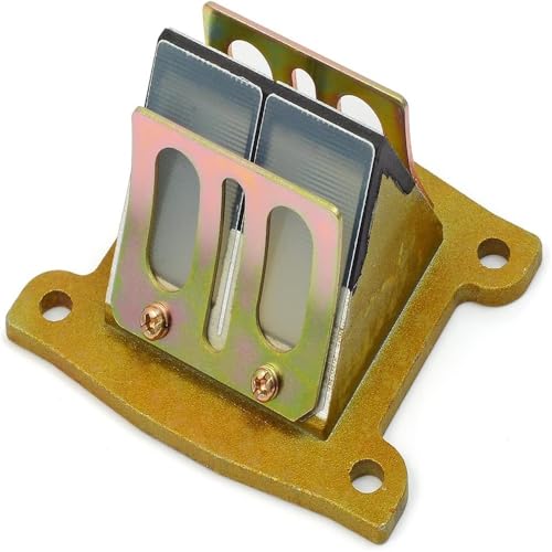 Válvula de lengüeta Yamaha G1 para solucionar fallos de arranque 5