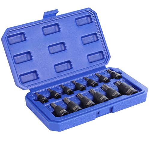 WORKPRO 13-Piece Torx Bit Socket Set, Allen Socket Set, Torx Sockets(T8-T60), Premium S2 Steel Star Bits and Cr-V Sockets with Storage Case, 1/4", 3/8" and 1/2" Drive