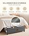 Megapuxin 4 Pack Under Bed Storage with Wheels, Adjustable Height Storage Containers, 10 inches Large Capacity Rolling Underbed with Lids, Storage Drawers Shoes, Clothes, Blankets, Grey