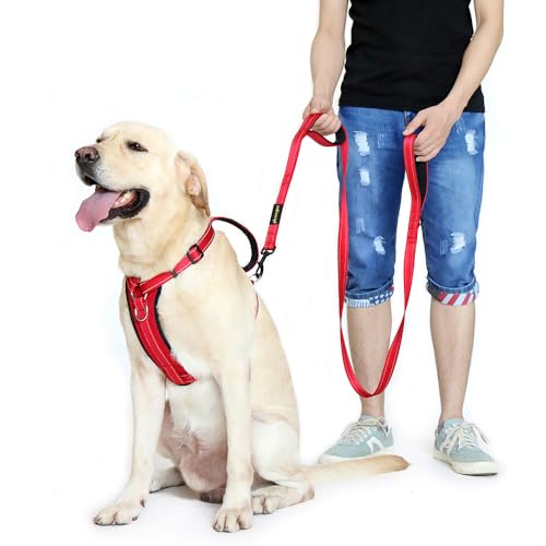 Image of Pioneer Petcore 6ft Red Dog Leash, Double Handles, Heavy Duty, Reflective, Control, Safety, Training