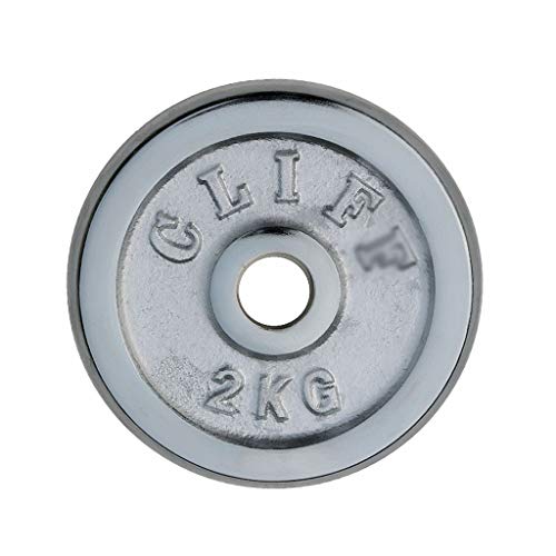 Kiki Discos de Pesas para musculación 2pcs Fundido Placas de Hierro con Barra de Peso galvanoplastia Inicio El Ejercicio Muscular del Brazo con Mancuernas de Peso Placa for Hombres y Mujeres
