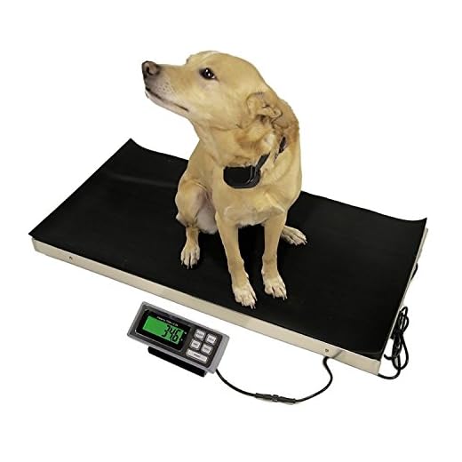 700 LB x 0.2 LB 44 x 22 Inch Extra Large Platform Vet Veterinary Animal Livestock Dog Goat Calf Pig Sheep 4H Digital Scale NEW