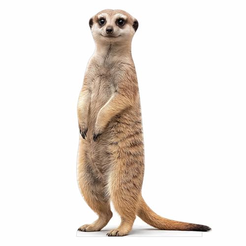 ATOZSIGN Life Size Meerkat Cutout 2 ft Animal Themed Party Decoration for Birthday and Themed Party