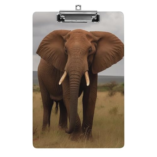 Porte-bloc A4 en acrylique éléphant avec crochet inox pour organisation bureau