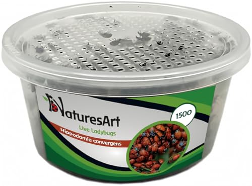 NaturesArt 1500 Live Ladybugs - Good Bugs for Garden - Ladybug Guaranteed Live Delivery* - Plastic Box, Container, Case.