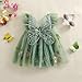 Infant Newborn Babygirl Outfit Mesh Tulle Flower Butterfly Embroidery Sleeveless Adorable Princess Dress (Green, 0-3 Months)