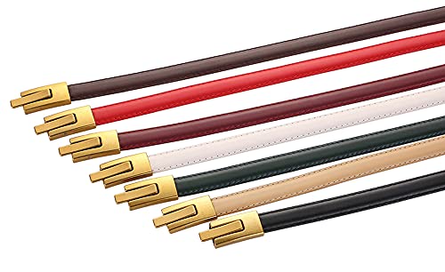 Alaix Women's Leather Skinny Belt For Dress Adjustable Thin Waist Belt Dress Belt With Vintage Gold Buckle Black #TOP5