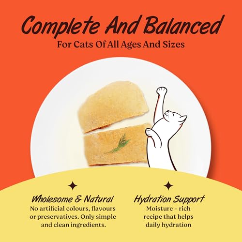 Image of Kennel Kitchen Grain Free Wet Cat Food for Adults and Kittens, Chicken in Jelly, Gravy Pet Food for Cats No Artificial Flavors, Colors or Preservatives 4 Pouches (4 x 80 GMS)