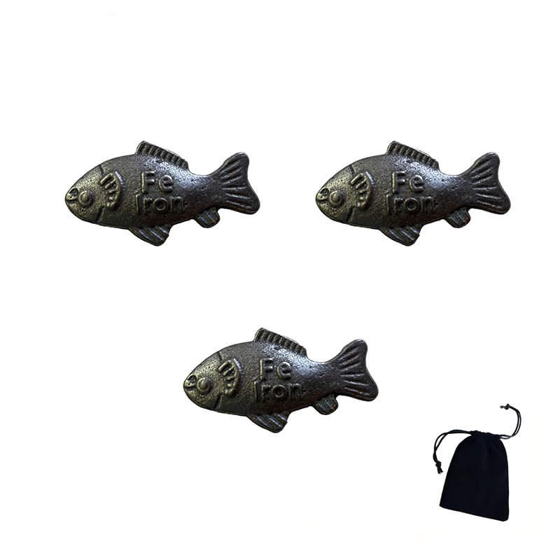 Poisson en fer contre l'anémie x3 pour eau et cuisine