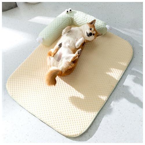 xbh nCGhwhbOxbhAtA􂦂 ΍ ACXVNn  ėpxbh L p}bg pЂ}bg ybgxbh  ׃bh ,Yellow-L