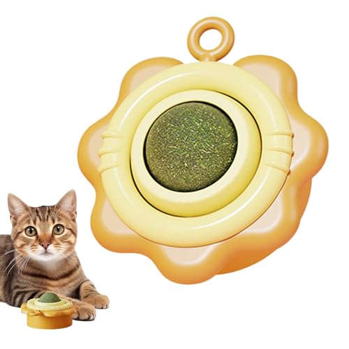 �L���b�g�j�b�v�{�[��,360�x��] �������������� - �L���b�g�j�b�v�t�����[���[�{�[�� | �ދ��h�~�Ɛ��_�h���̂��߂̉ƒ�p���r���O���s�g���[�j���O�H�㊈������