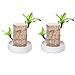 Produktbild Mini Brazil Lucky Wood - Hydroponic Potted Plant Stump Small Mini Plant Indoor Office Desktop Plant to Purify Brazil Indoor Air, Magical Sprouting Lucky Bamboo Wood, Hydroponic Plant