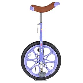 I*o様 ブリヂストン キッズ用一輪車 ターコイズ　ふたつセット 楽天市場】自転車 子供用（一輪車｜自転車・サイクリング