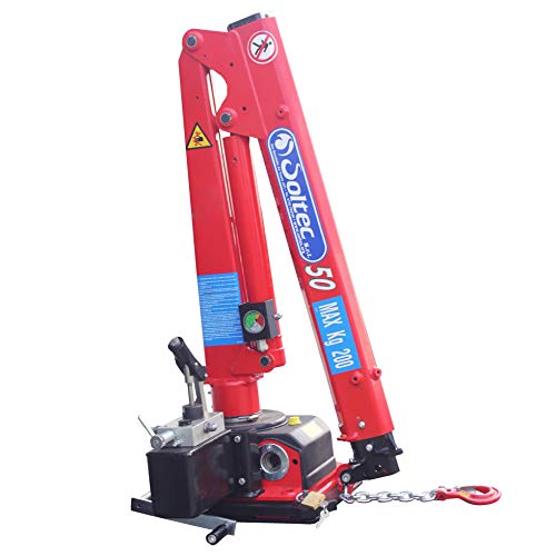 Mini gru con portata di 200 kg per veicoli leggei