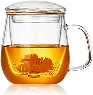 DOPUDO PAVILION Glass Tea Cup with Infuser and Lid, 17.6oz/ 520ml Borosilicate Glass Large Tea Mug with Infuser, Clear Teacup for Loose Leaf Tea, Blooming Tea, Tea Bag