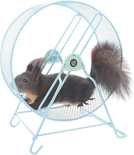 ハムスター 回し車 ハムスター回し車 ムーンライト ホイール サイレントホイール ペットトレッドミルハムスターランニングスピナーエクササイズホイールペットジョギングエクササイズ玩具フラット走りやすい置き型 デグー ハリネズミ チンチラ 小動物に対応 32c