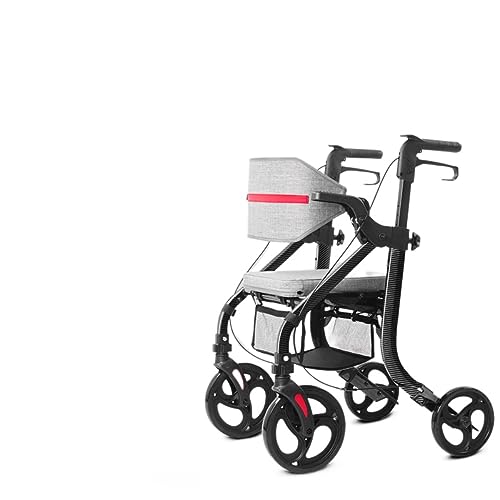 ���s�� ���ʕ��s�� �������\ ���s�⏕�� ��Q�҉����P���p�L�����n�r���� (���@�\���s�⏕�� - �Y�f�@�ۓ]�ʈ��)