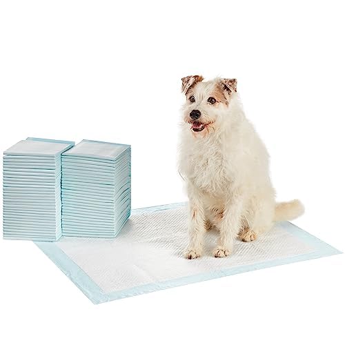 Tapete higiênico Descartaveis 50 unidades 60x60cm Para Cachorros Alta Absorção