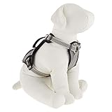 Dog Harness Kong Reflective Pocket Large Gray