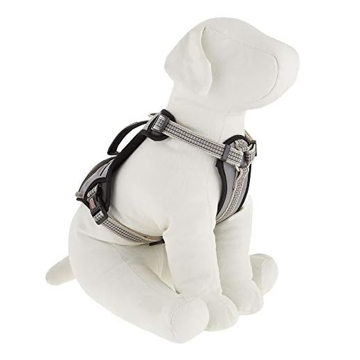 Dog Harness Kong Reflective Pocket Large Gray