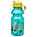 Zak Designs Despicable Me 14oz Kids Water Bottle with Straw - BPA Free with Easy Clean Design, Despicable Me
