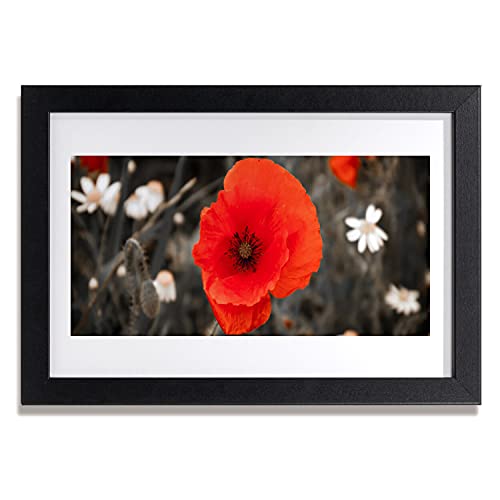 Affiche encadrée salon Tulup 30x20 cm cadre photo mural plante de fleurs pour cuisine
