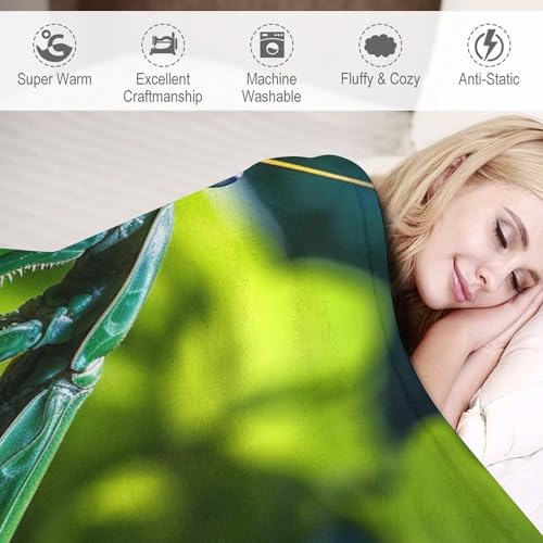 Couverture chaude en flannel légère et isolante pour lit frileux