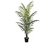 Produktbild kunstpflanzen-discount.com Kunstpalme Areca mit 14 Palmwedel Höhe 200cm - Künstliche Goldfruchtpalme ideal für Sommer Sonne Urlaubsdekoration