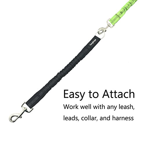 Yangbaga Dog Leash Extender, Shock Absorber Bungee Leash Attachment, Durable Nylon Dog Tie Out Leash Extension With Stainless Steel Swivel Clips (Black, 17''-23’’) #TOP3