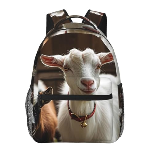 Sac à dos travail ordinateur portable léger et mignon contre le mal de dos