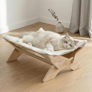 JSPYFITS Katzenbett, Plüsch-Samt-Katzenbetten für Indoor-Katzen, Katzenhängematte aus Holz, 54 x 42 x21 cm, geeignet für Katzen, Hunde, Kaninchen, Kätzchen und Kleintiere Weiß