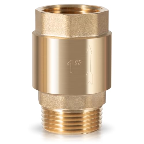 One Way Brass Check Valve, 1