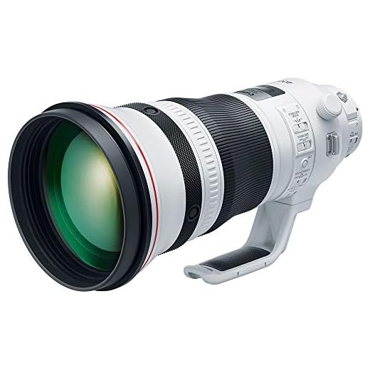 Canon EF 400mm f/2.8L IS III USM Lens