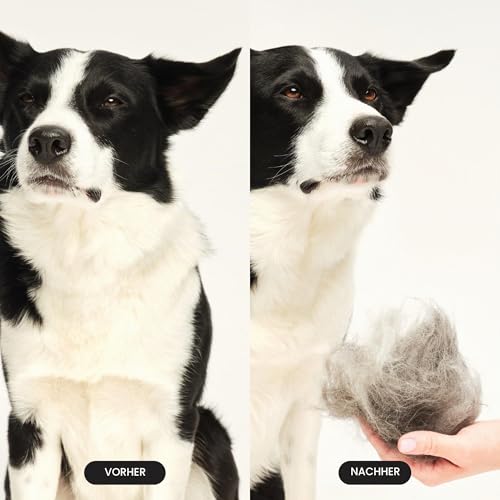 Tangle Teezer Pet Teezer Fellpflegebürste für kleine Hunde – Hundebürste für Trocken- oder Badegebrauch – Die perfekte Bürste für Hunde – Dunkelblau & Hellblau