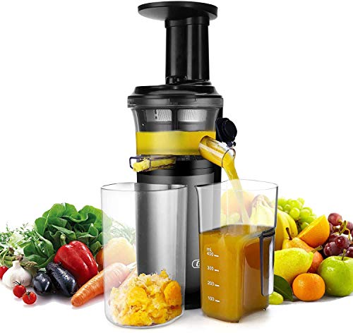 Slow Masticating Juicer with Slow Press Masticating Squeezer Technology for Fruits, Vegetables