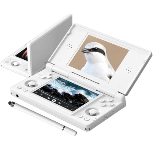 Image of RgAmbernic RG DS Android 14 System Flip Handheld Game Console Anbernic RG DS Dual Screen 4 inch resolution 640 * 480 OCA Full Touch Screen Built-in Hall Chip 4000mAh [android]