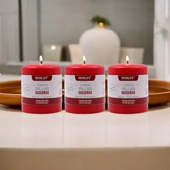 Hosley Apple Cinnamon Fragrance Pillar Candles|Red Candles Perfect for Home Decor, Birthday, Wedding, Parties, Restaurants| Smokeless & Dripless|2.75 Inch Diameter(Pack of 3, 3 Inch Long Each)