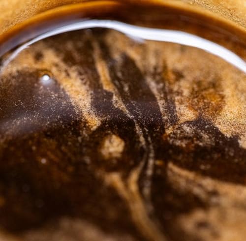 Miel silvestre infusionada con hongos Earth Nectar miniatura 4
