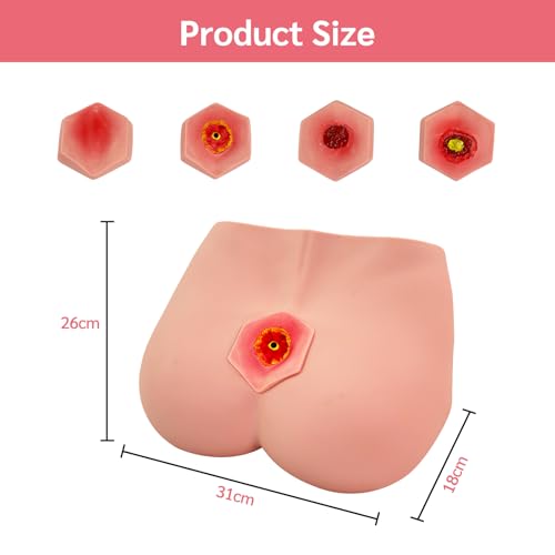 Image of Decubitus Ulcer Training Model, PVC Bedsores Pressure Sore Model 4 Stages of Bedsores - Decubitus Wound Care Kit for Medical Pratice Training Teaching Model
