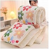 RCGNR EdredóN De Terciopelo De Cordero En Invierno, NúCleo Colcha De Cordero CáLida, Colcha Cordero Microfibra Reversible, Grueso Y CáLido EdredóN De Terciopelo De Felpa C, 180x220cm/3kg