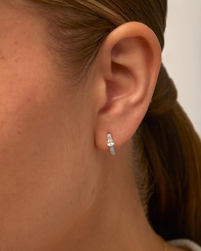 PAVOI 14K Gold Plated Sterling Silver Post Earrings for Women - Colored Enamel Cubic Zirconia Huggie Hoop Earrings - Blue Pink Purple White Jewelry2