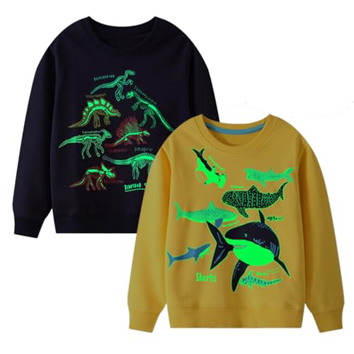 2 Pack 2t-7t Toddler Boys Sweatshirts,Long Sleeve Boys Fashion Tops,Cartoon Toddler Fall Outfits,Toddler Sweater2