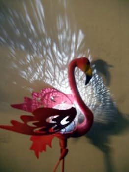 Amazon.com : Solaration 3005 Solar Glass Globe Light with Pink Amazon.com : Solaration 3005 Solar Glass Globe Light with Pink