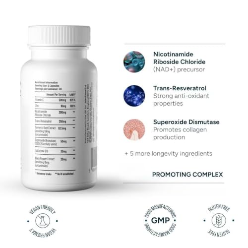 Cerebro nootrópico eleva niveles de energía y estimula la función cognitiva 4