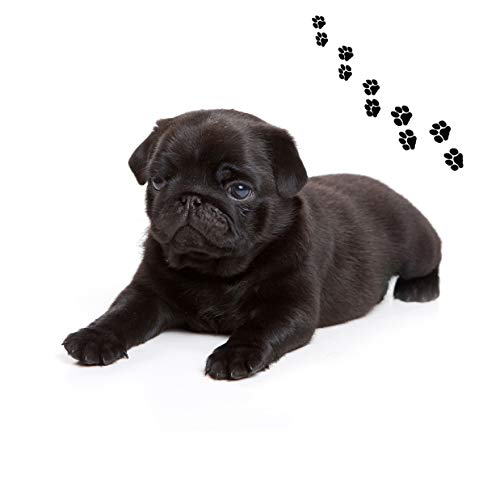 Andreas Round Silicone Mat Jar Opener, Black Pug Dog, 6.25 Inch