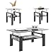 Tansole Glass Coffee Table Set of 3, Modern All Black Coffee Table and 2 End Table Sets, 2-Tier Center Tables Set, Tempered Glass Top with Metal Legs for Living Room, Office, Easy Assembly