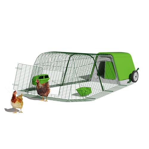 Best Chickens for a Small Backyard (and Small Coops)