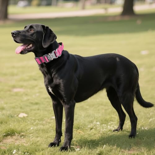 AKOFIC Taktisches Hundehalsband mit Griff, Breites Halsband Hund Gepolstert aus Nylon, Verstellbar Robuster Dog Collar mit Metallschnalle für Mittlere Große Hunde (Rosarot, M)