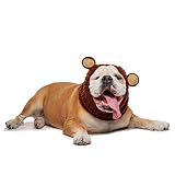 Zoo Snoods Grizzly Bear Costume for Dogs, Large - Warm No Flap Ear Wrap Hood for Pets, Dog Outfit fo